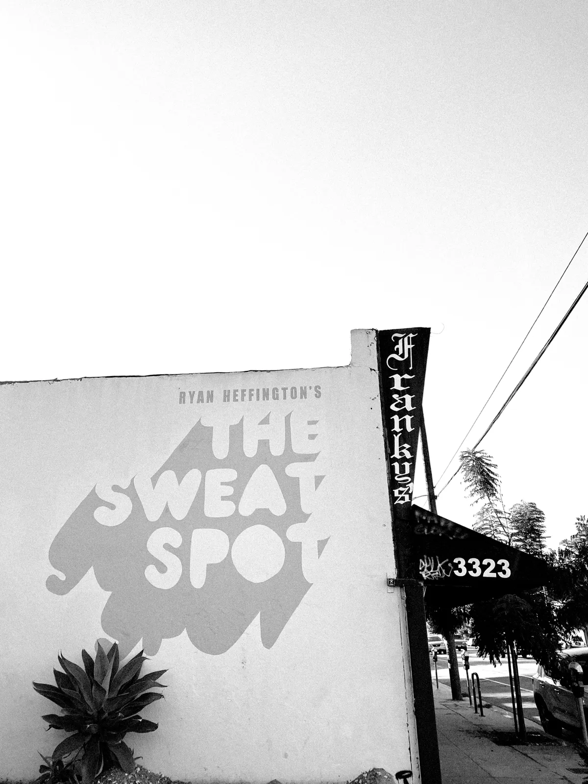 THE SWEAT SHOP